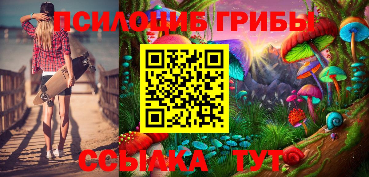 Куйбышев  Псилоцибиновые грибы GOLDEN TEACHER  Вход с VPN  Галлюциногенные грибы Cubensis 