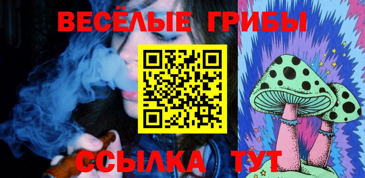 Галлюциногенные грибы прущие грибы Куйбышев